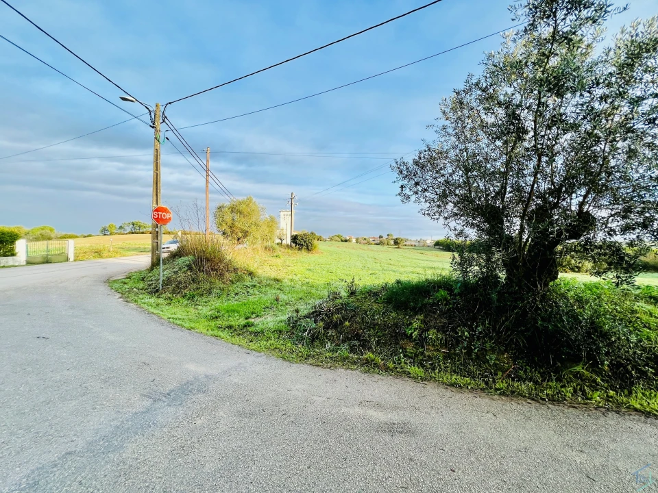Terreno para Venda em Madalena e Beselga Foto 11