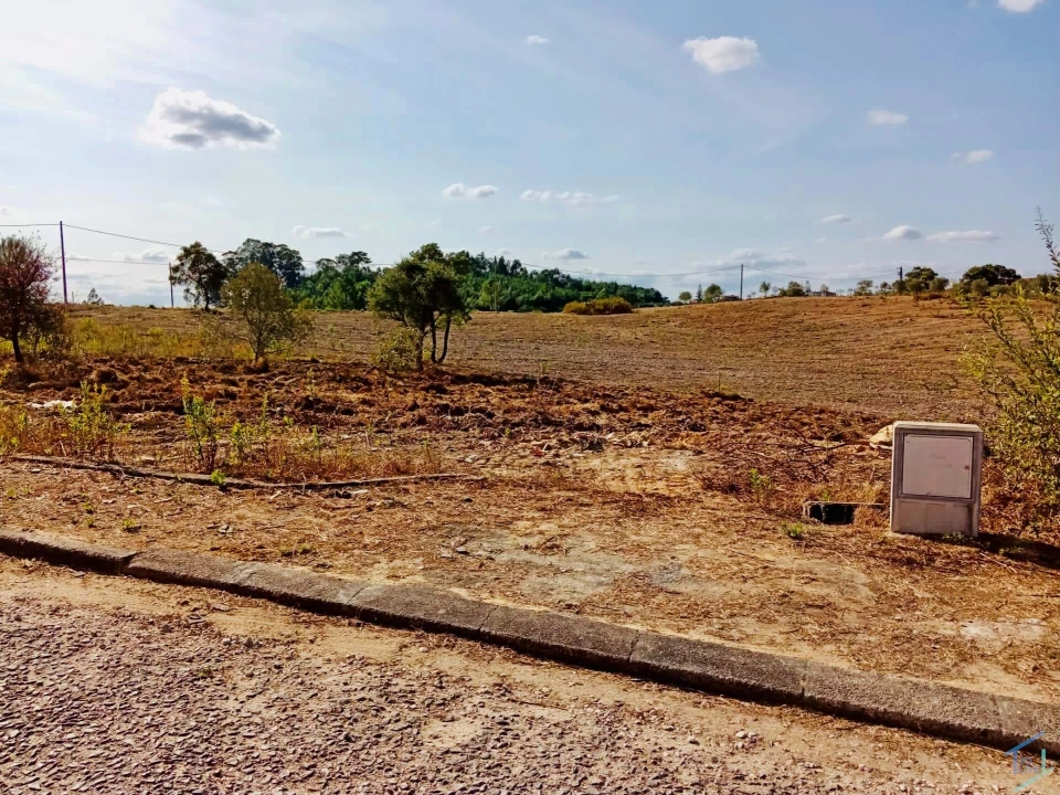 Terreno para Venda em São Pedro de Tomar Foto 7