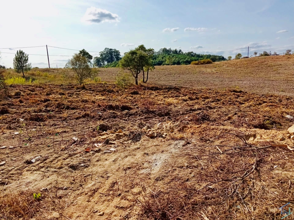 Terreno para Venda em São Pedro de Tomar Foto 9