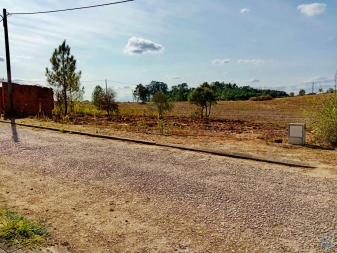 Terreno para Venda em São Pedro de Tomar Foto 6