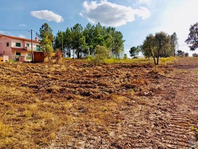 Terreno para Venda em São Pedro de Tomar Foto 5