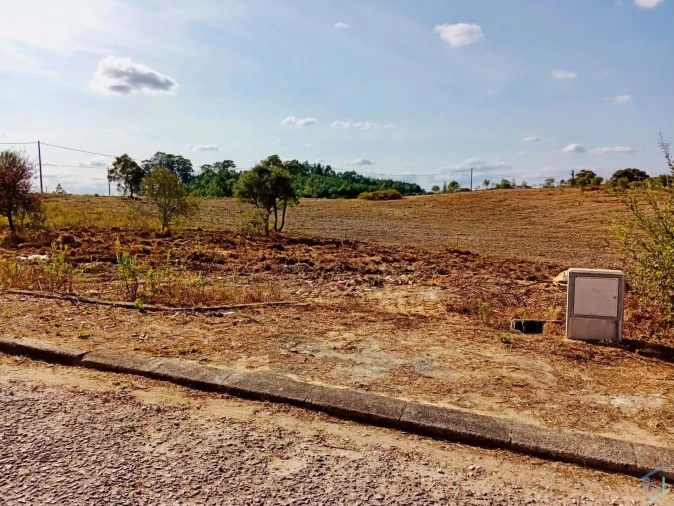 Terreno para Venda em São Pedro de Tomar Foto 7