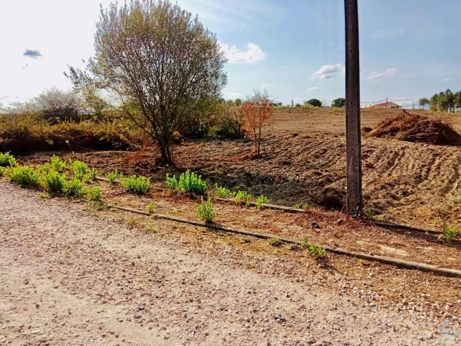 Terreno para Venda em São Pedro de Tomar Foto 2