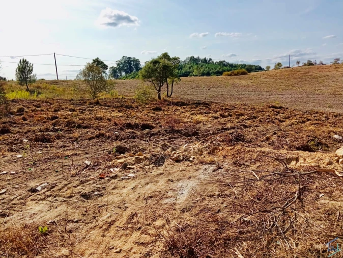 Terreno para Venda em São Pedro de Tomar Foto 9