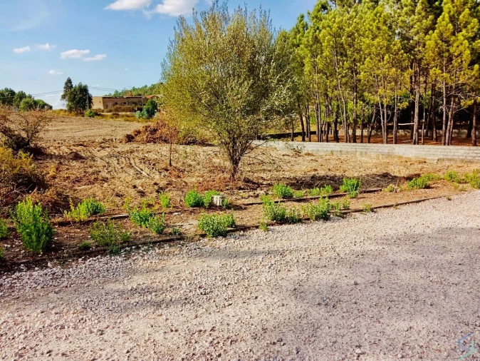 Terreno para Venda em São Pedro de Tomar Foto 3