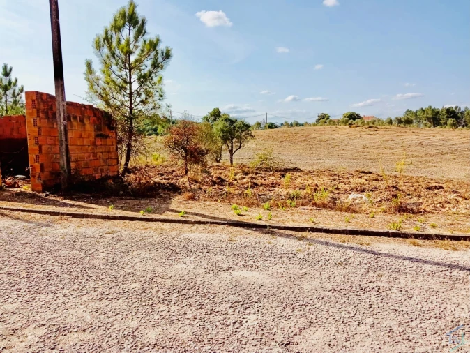 Terreno para Venda em São Pedro de Tomar Foto 8