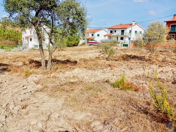 Terreno para Venda em São Pedro de Tomar
