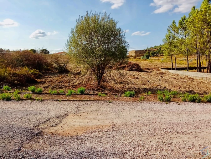 Terreno para Venda em São Pedro de Tomar Foto 11