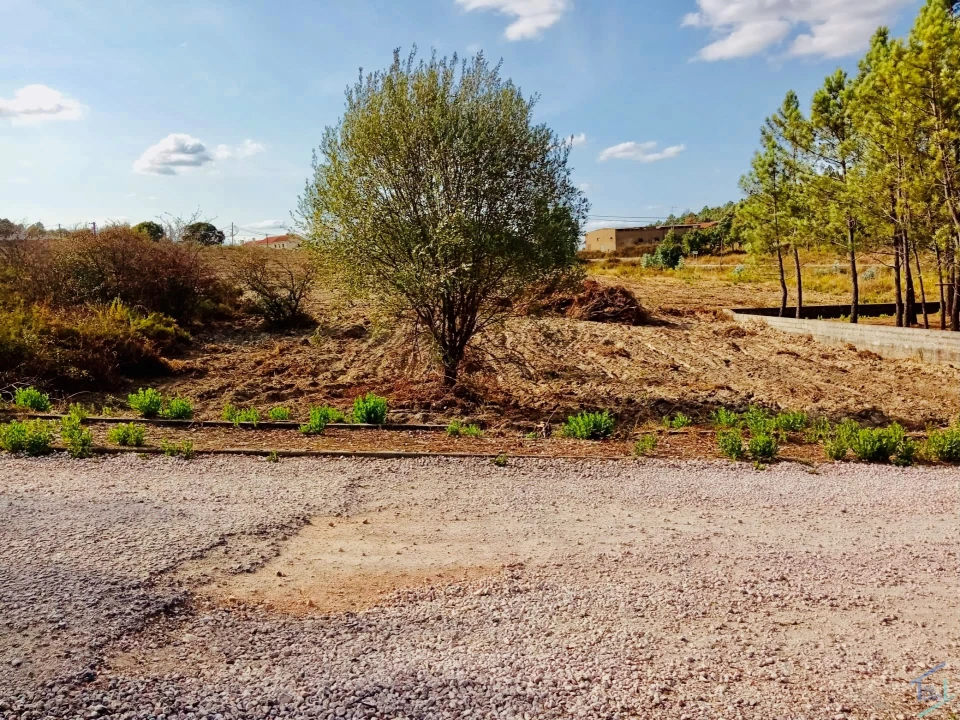 Terreno para Venda em São Pedro de Tomar Foto 11