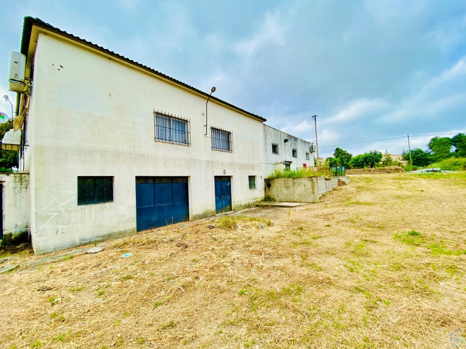 Negócio para Venda em Madalena e Beselga Foto 34