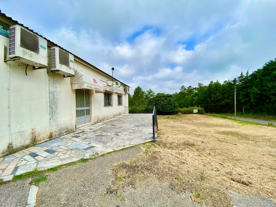 Negócio para Venda em Madalena e Beselga Foto 32