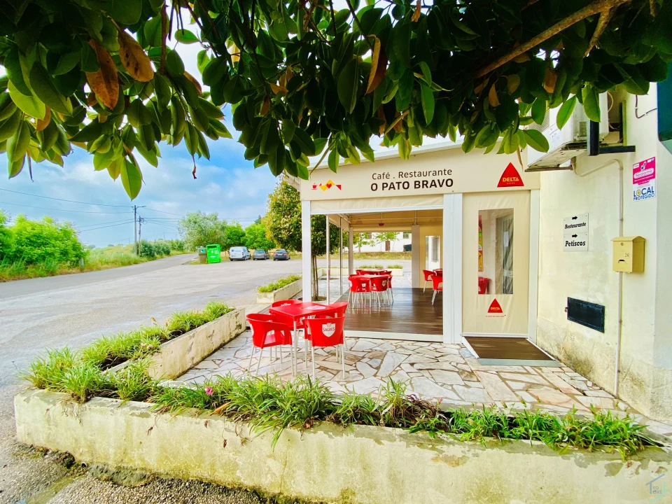 Negócio para Venda em Madalena e Beselga Foto 3