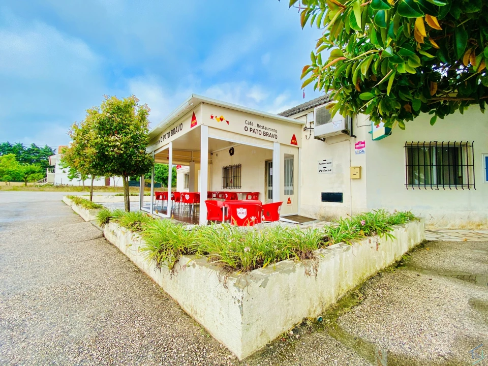 Negócio para Venda em Madalena e Beselga Foto 1