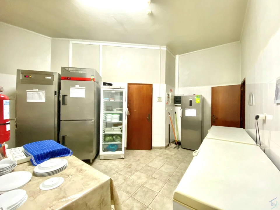 Negócio para Venda em Madalena e Beselga Foto 15