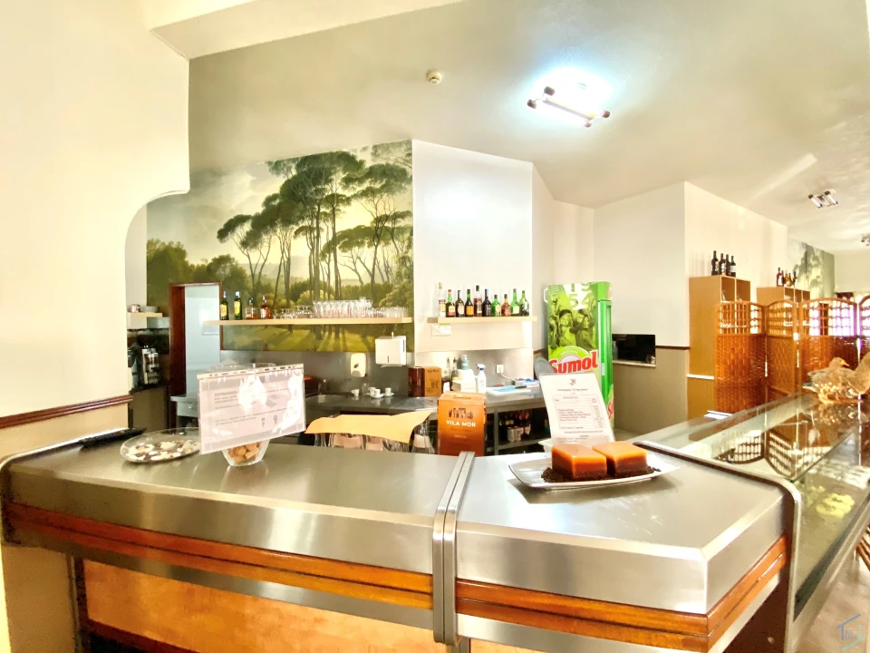 Negócio para Venda em Madalena e Beselga Foto 18