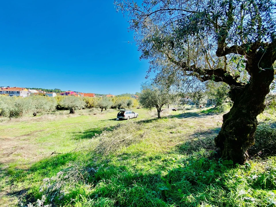Terreno para Venda em Asseiceira Foto 8
