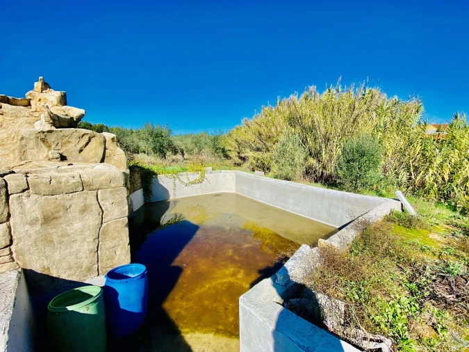 Terreno para Venda em Asseiceira Foto 2