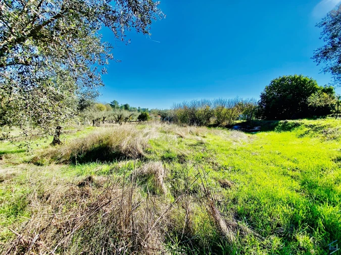 Terreno para Venda em Asseiceira Foto 10