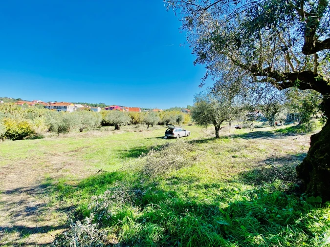 Terreno para Venda em Asseiceira Foto 7