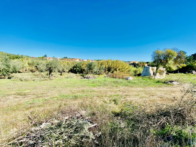 Terreno para Venda em Asseiceira Foto 15