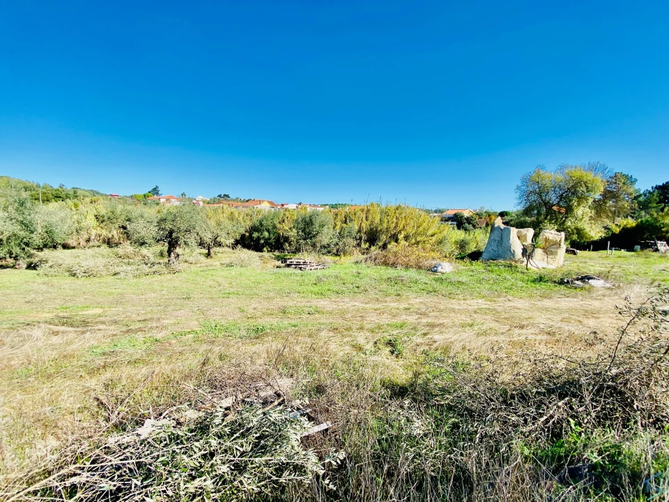 Terreno para Venda em Asseiceira Foto 15