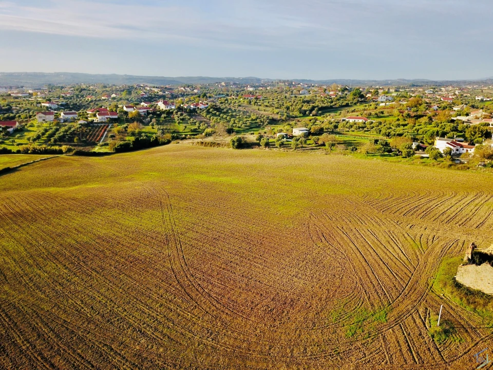 Terreno para Venda em São Pedro de Tomar Foto 8