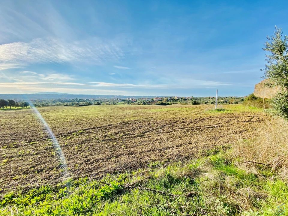 Terreno para Venda em São Pedro de Tomar Foto 24
