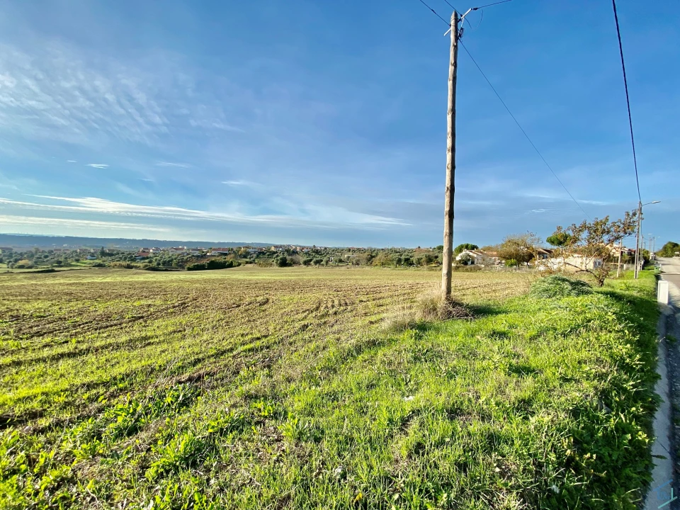 Terreno para Venda em São Pedro de Tomar Foto 34