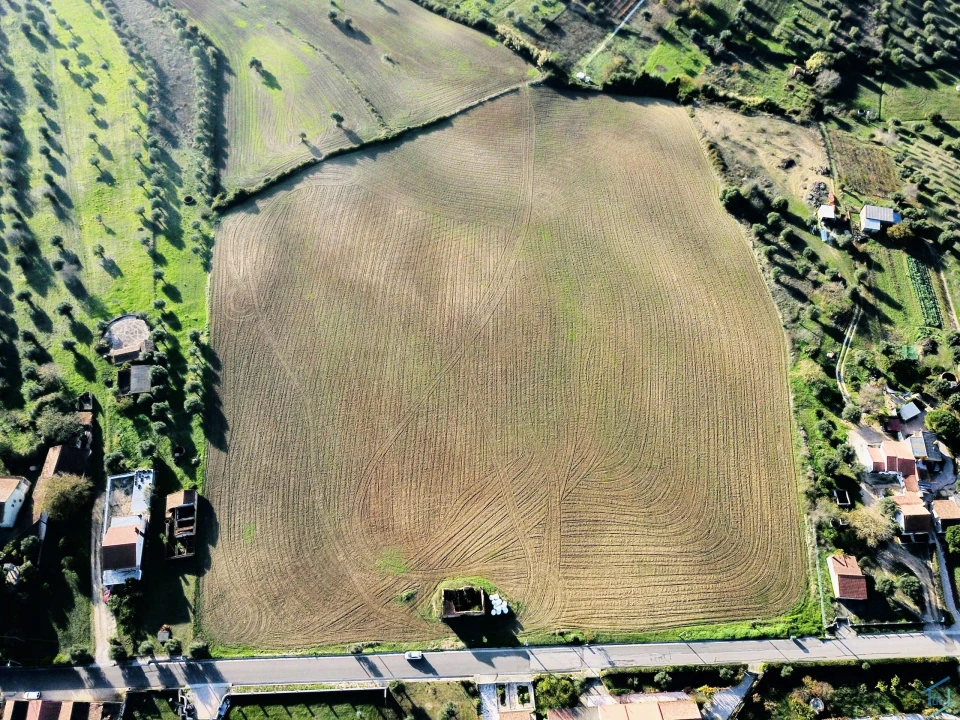 Terreno para Venda em São Pedro de Tomar Foto 1