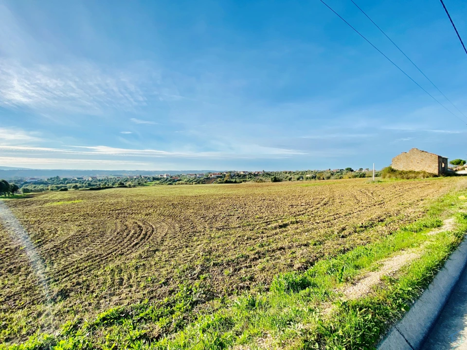 Terreno para Venda em São Pedro de Tomar Foto 30