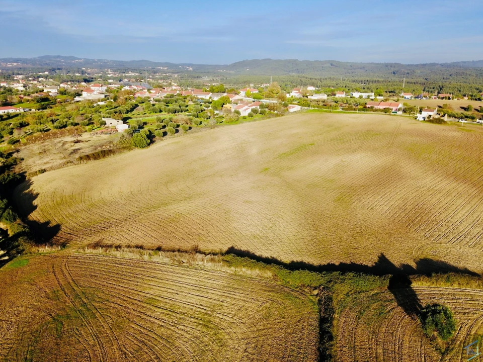 Terreno para Venda em São Pedro de Tomar Foto 16