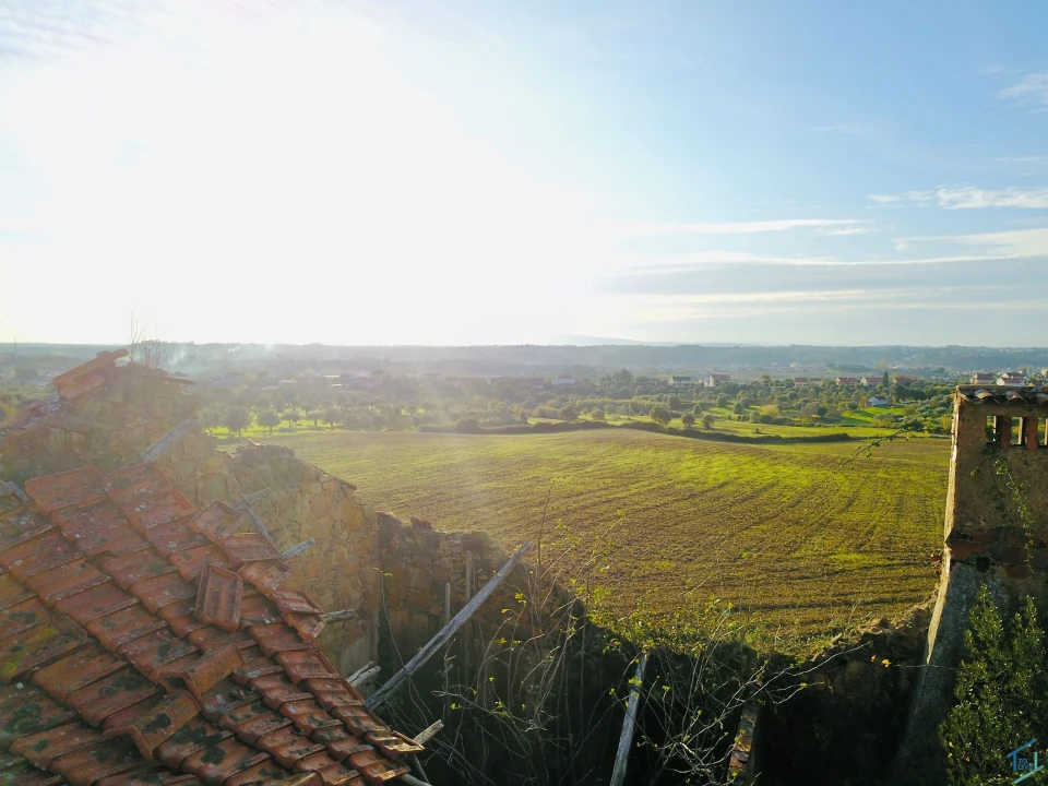 Terreno para Venda em São Pedro de Tomar Foto 4