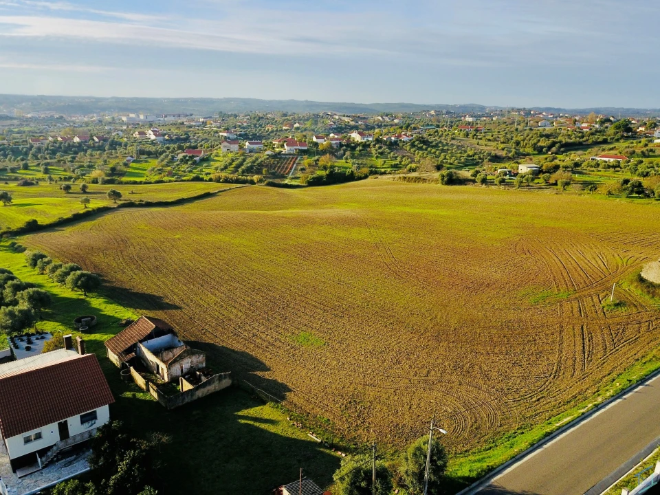 Terreno para Venda em São Pedro de Tomar Foto 3
