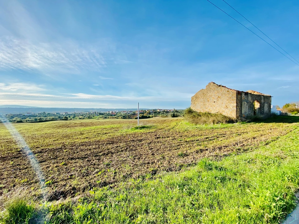 Terreno para Venda em São Pedro de Tomar Foto 31