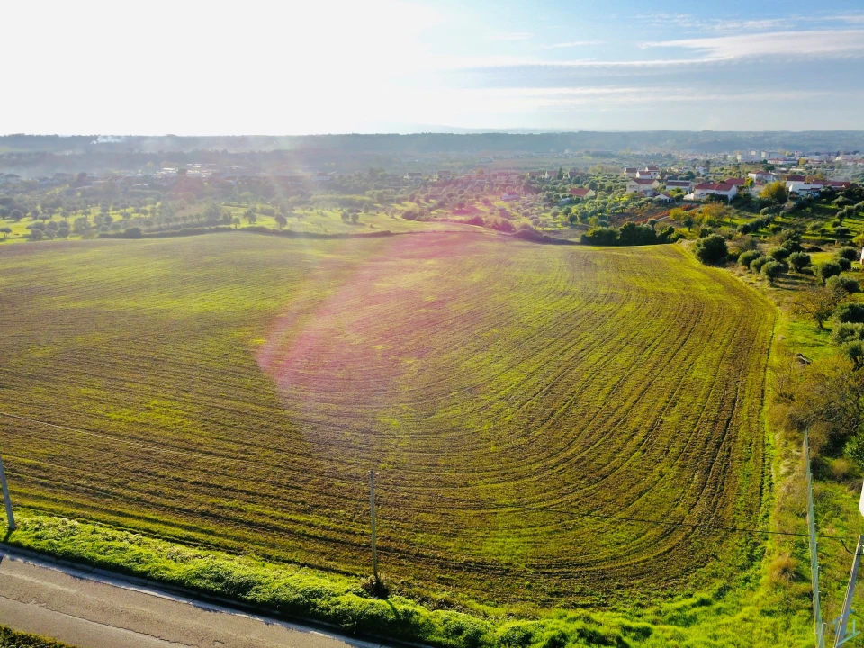Terreno para Venda em São Pedro de Tomar Foto 11