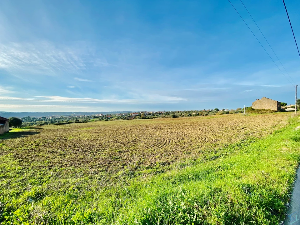 Terreno para Venda em São Pedro de Tomar Foto 29
