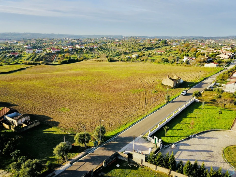 Terreno para Venda em São Pedro de Tomar Foto 18