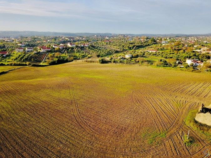 Terreno para Venda em São Pedro de Tomar Foto 8