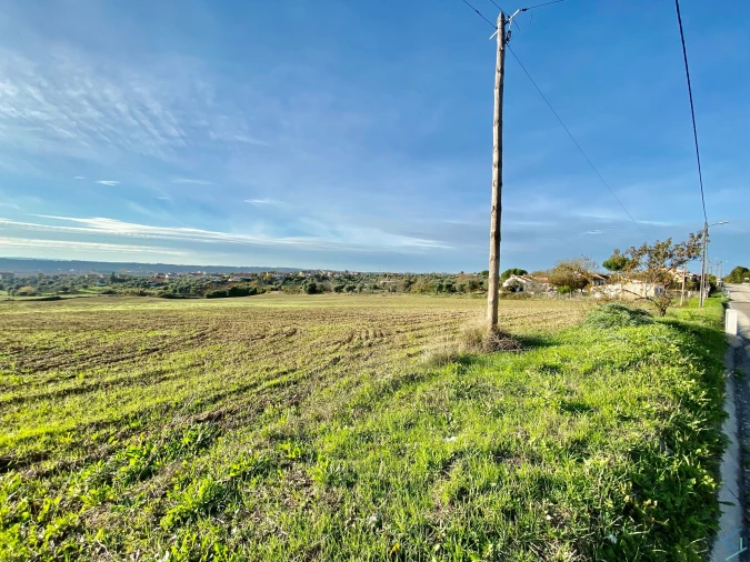 Terreno para Venda em São Pedro de Tomar Foto 34