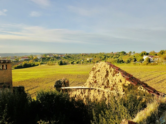 Terreno para Venda em São Pedro de Tomar Foto 12