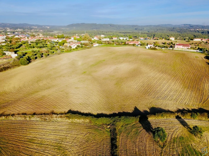 Terreno para Venda em São Pedro de Tomar Foto 5