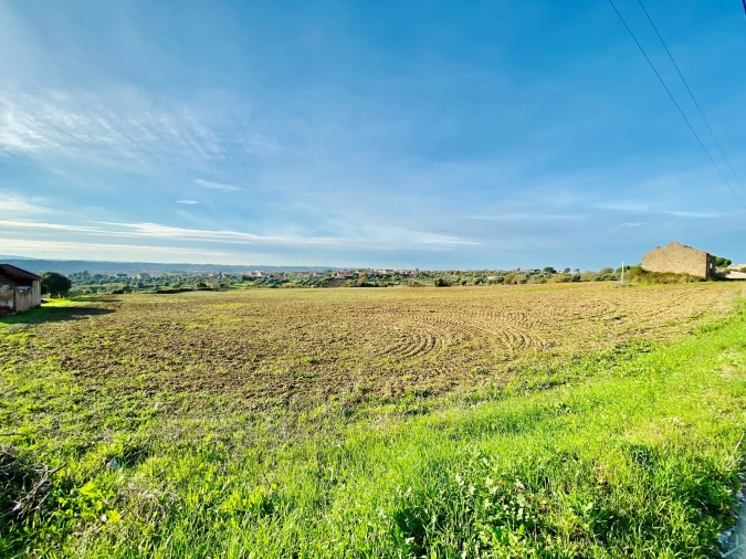 Terreno para Venda em São Pedro de Tomar Foto 25