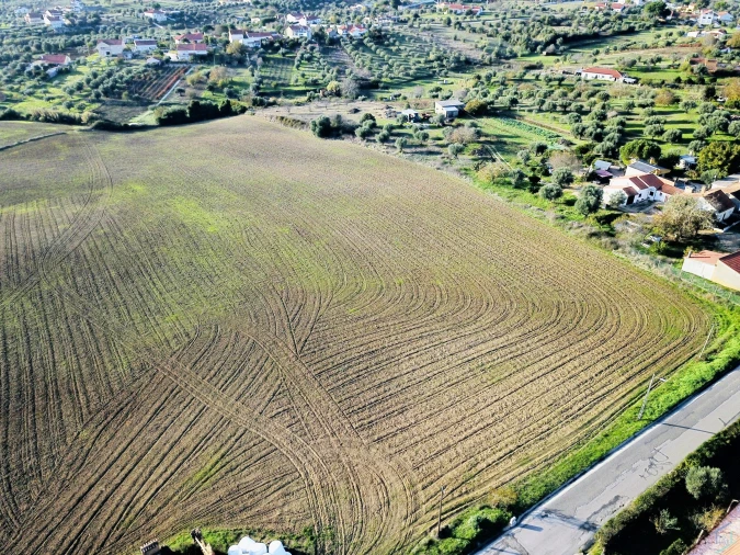 Terreno para Venda em São Pedro de Tomar Foto 13