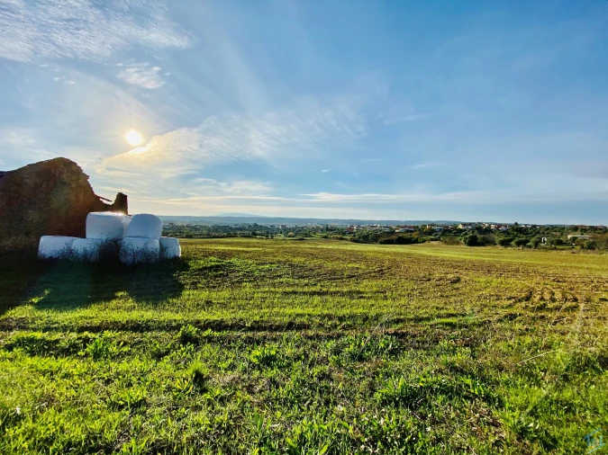 Terreno para Venda em São Pedro de Tomar Foto 33