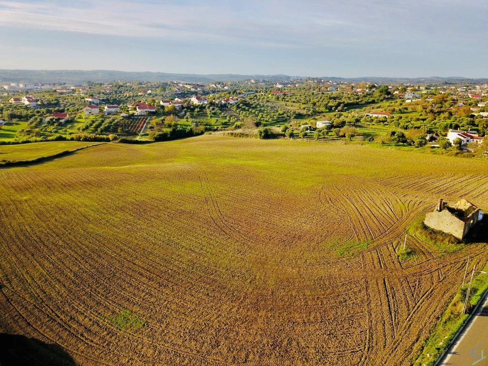 Terreno para Venda em São Pedro de Tomar Foto 17