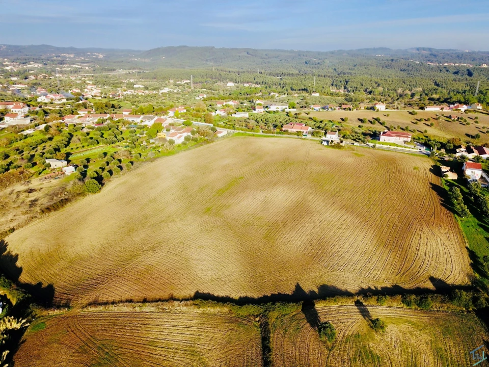 Terreno para Venda em São Pedro de Tomar Foto 23