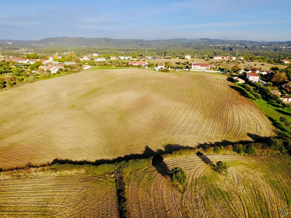 Terreno para Venda em São Pedro de Tomar Foto 10