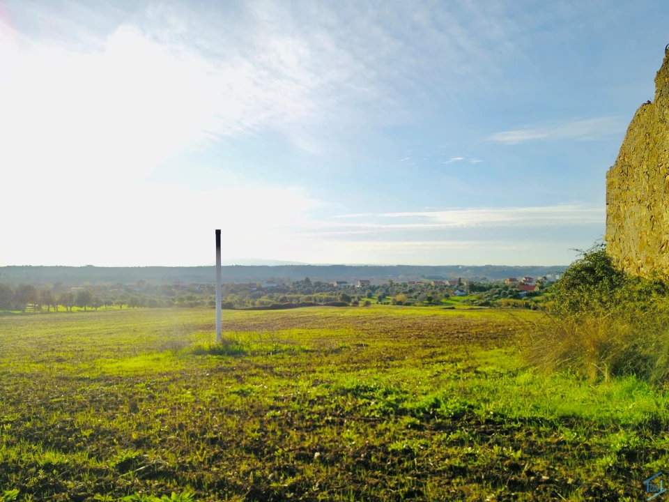Terreno para Venda em São Pedro de Tomar Foto 6