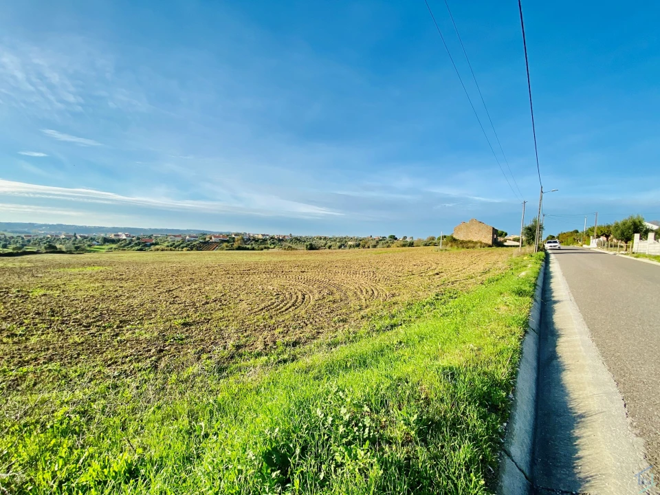 Terreno para Venda em São Pedro de Tomar Foto 26