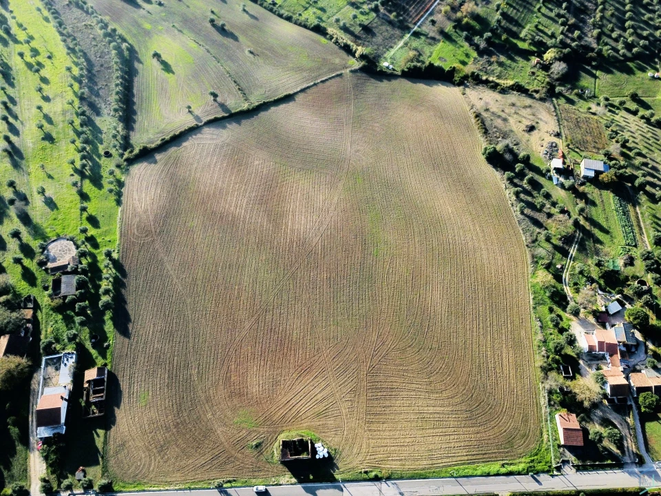 Terreno para Venda em São Pedro de Tomar Foto 22